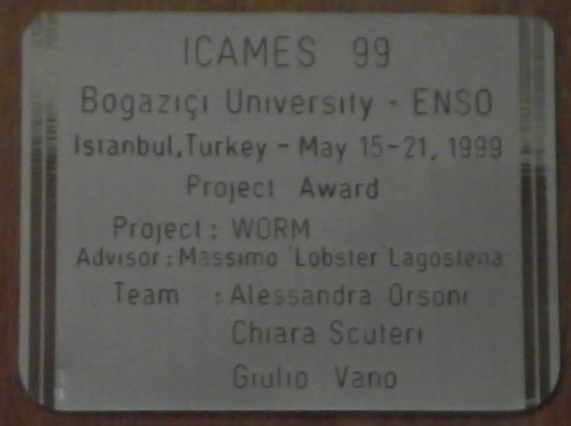 ICAMES 1999 3rd Best Project